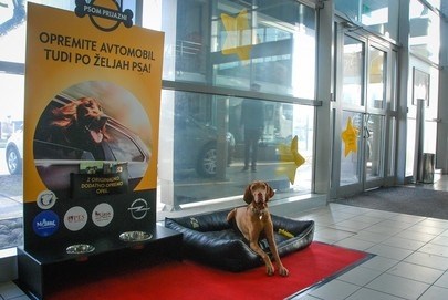 Opel podprl projekt AMZS in Motorevije »Varen prevoz psov«